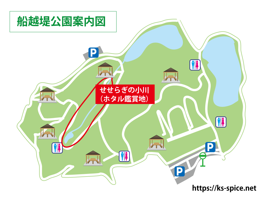 静岡市 ホタル鑑賞 清水船越堤公園でホタルに遭遇できるコツ 観察のポイントを調べました K S Spice