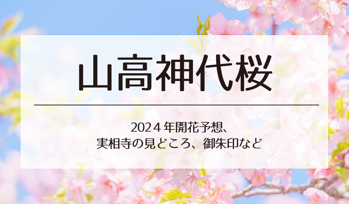 山高神代桜2024開花予想と実相寺の見どころ御朱印など