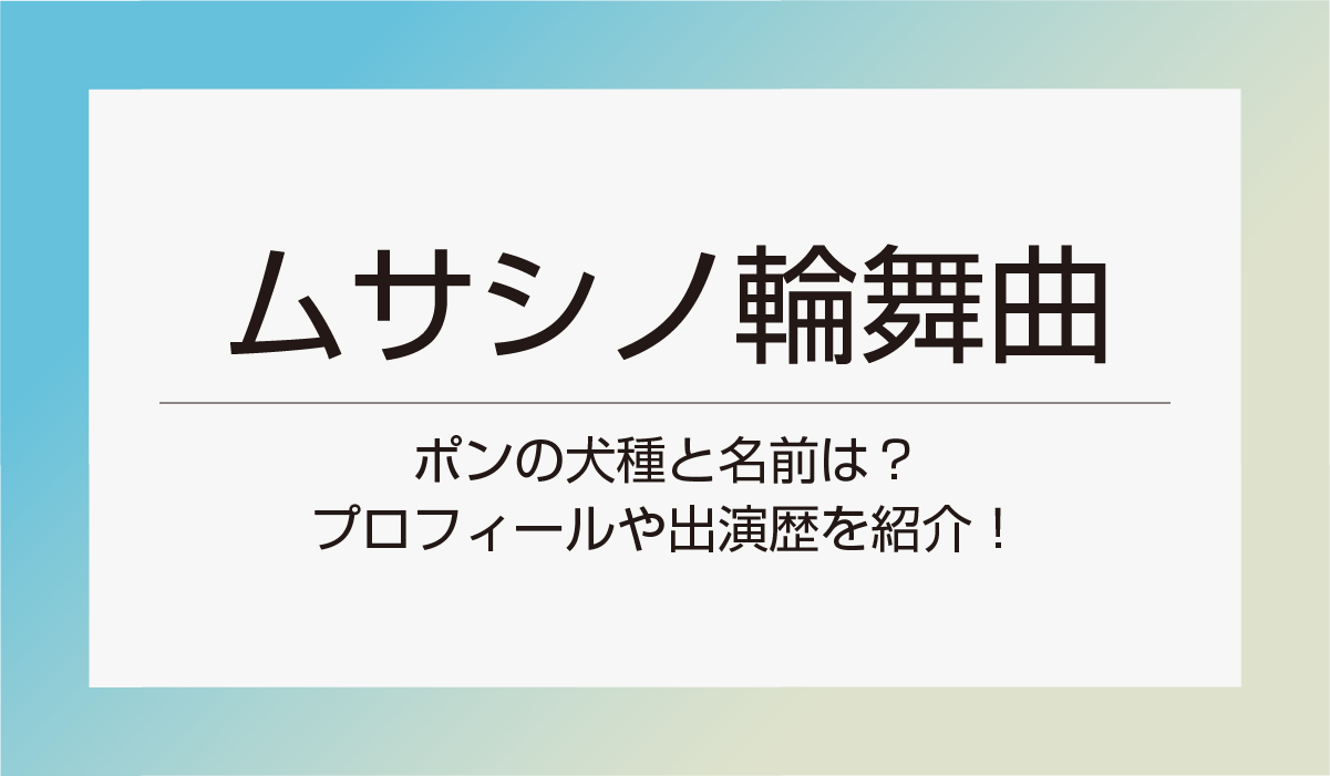 【ムサシノ輪舞曲】ポンの犬種と名前は？プロフィールや出演歴を紹介！